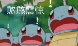 台湾爆料杰尼龟是谁啊视频,视频主角身份大起底